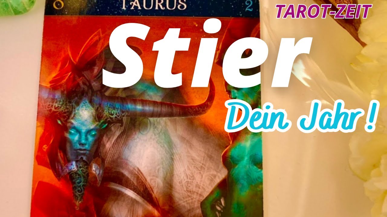 STIER: Dein Jahr!