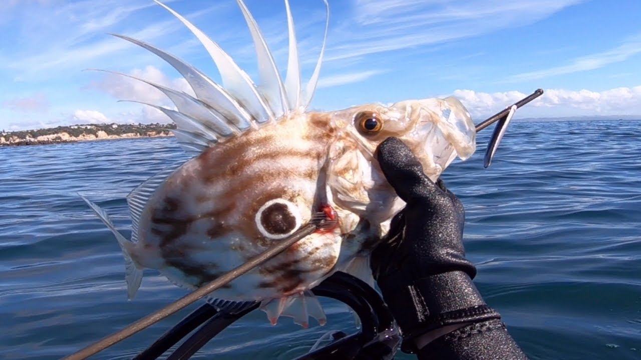 How Good is a Kayak for Spearfishing & Freediving?
