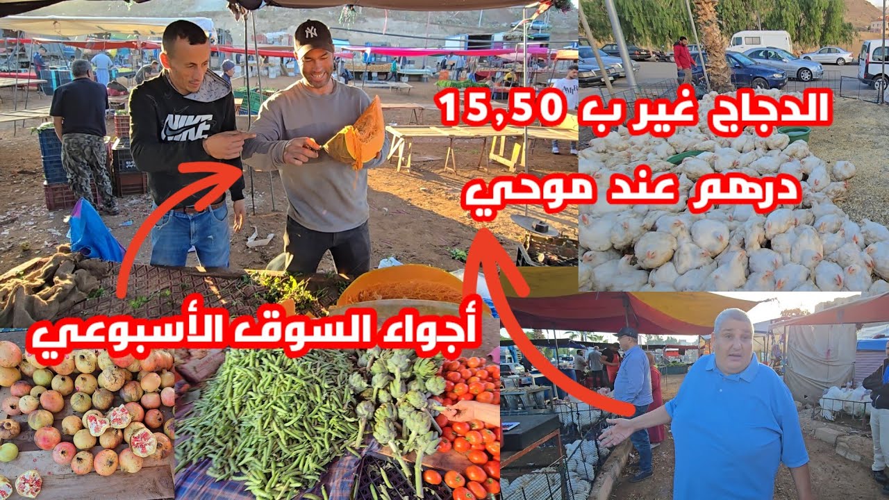 من سوق أزغنغان شوفو الدجاج عند موحي غير ب 15,50 درهم شوفو شنو قال مع أثمنة الخضر والفوامه والأجواء