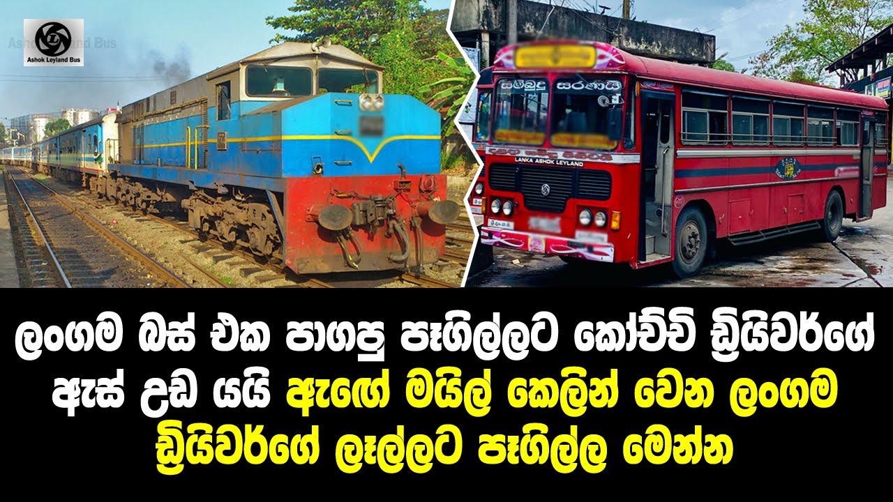 Ctb bus vs train race in sri lanka