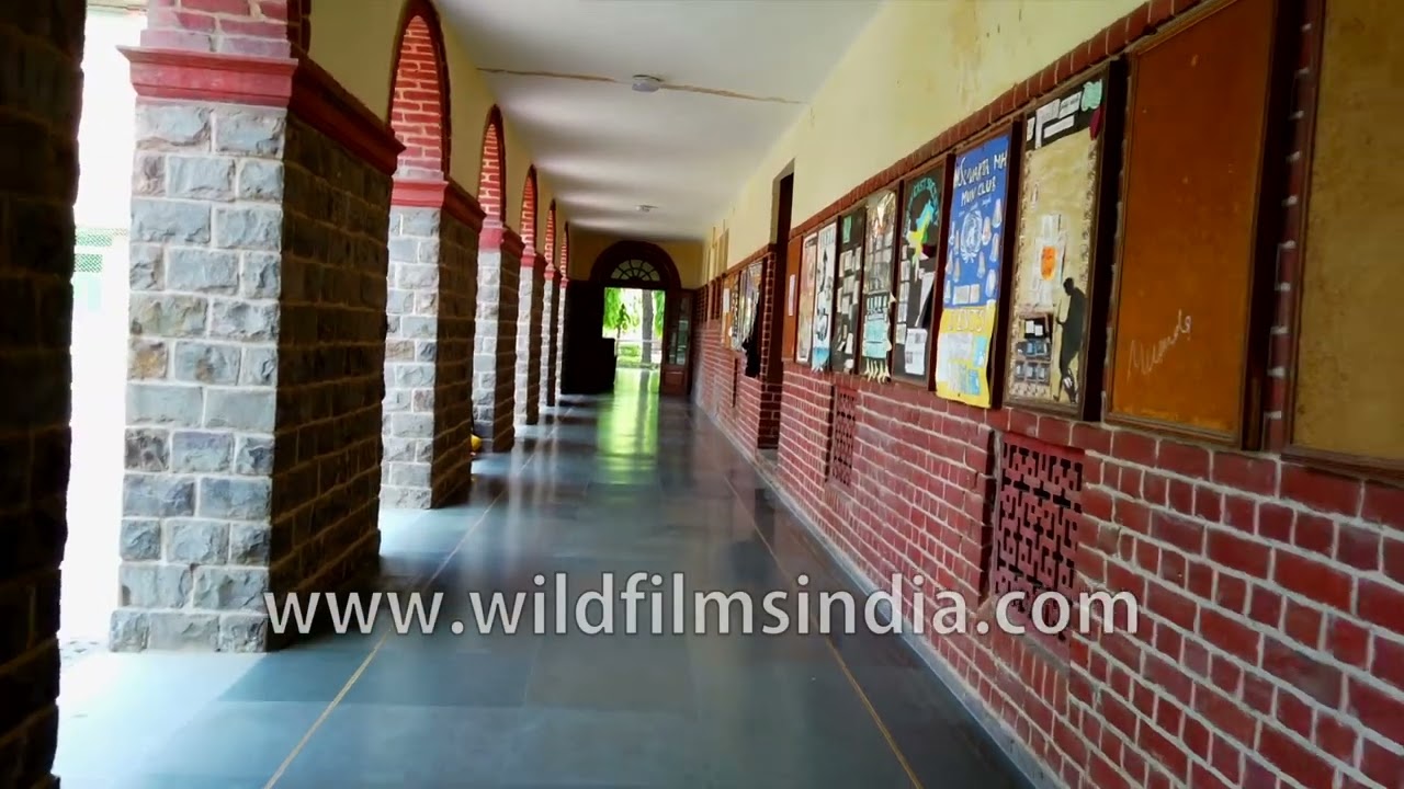 Miranda House walk-through from Delhi University north campus - Number One college in India?