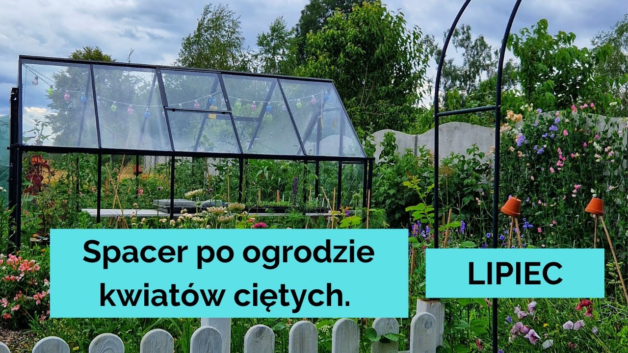 Wakacyjny spacer po ogrodzie kwiatów ciętych.