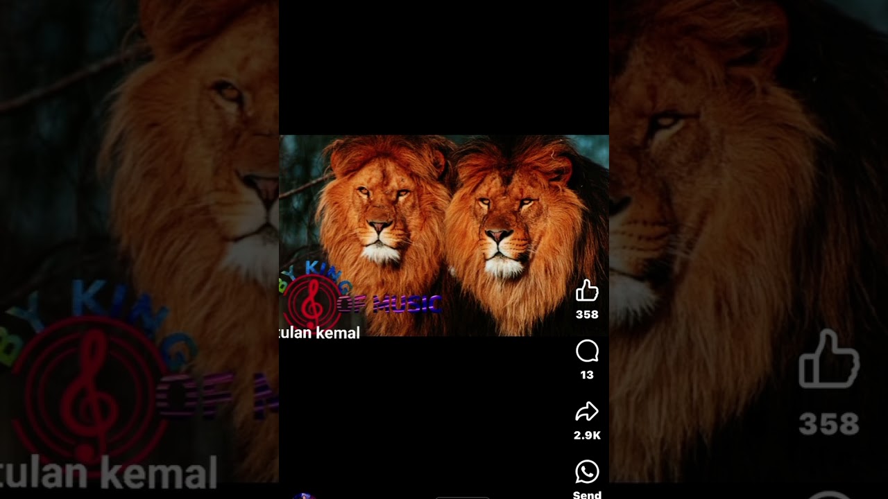 Stefan S-o penen cadai lumea