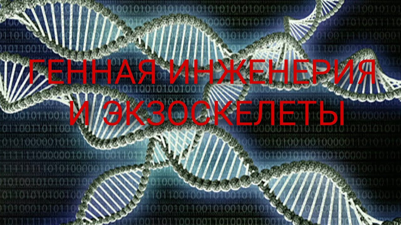 Генная инженерия и экзоскелеты: цена суперсолдата