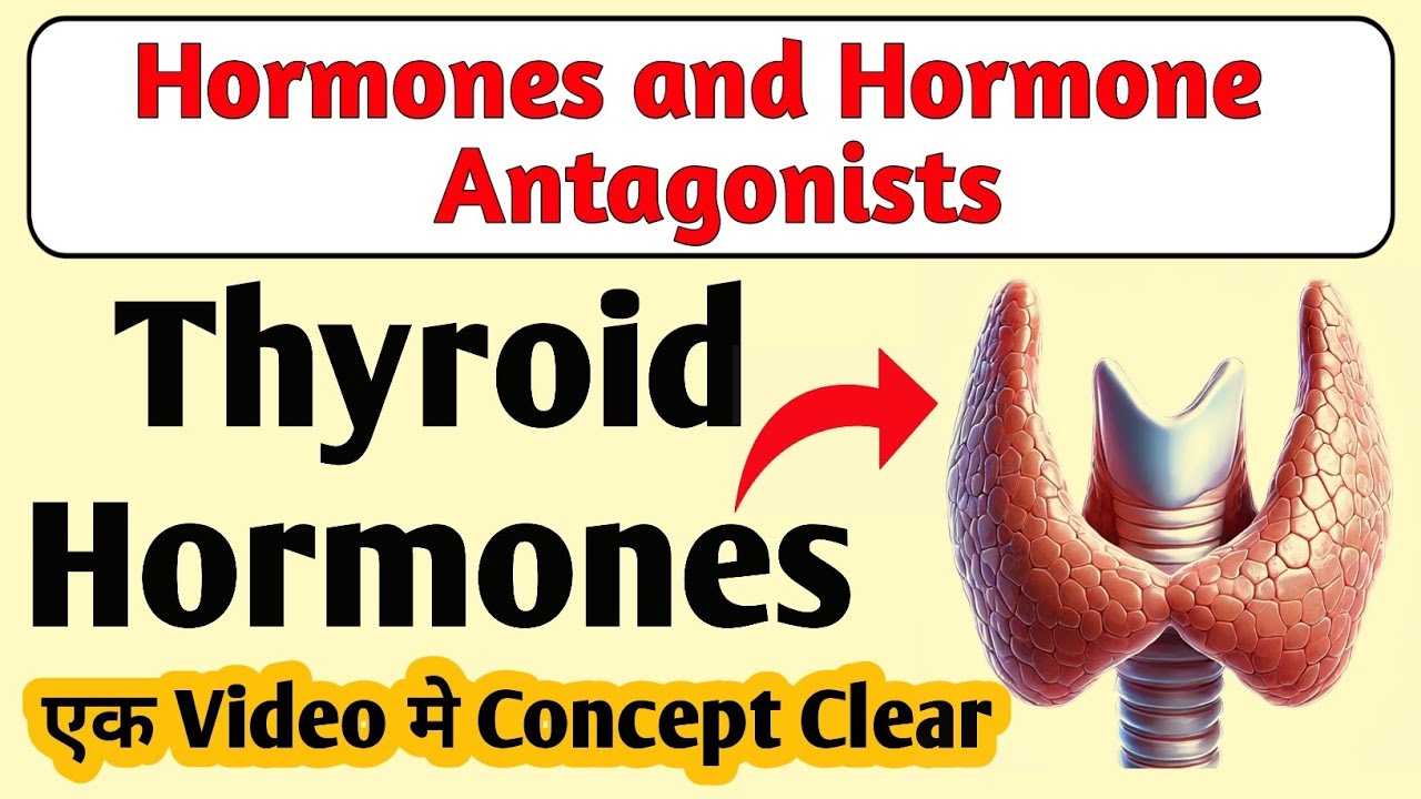 Thyroid Hormones | Hormones and Hormone Antagonist Part 1 | Pharmacology | D. Pharm | B. Pharma