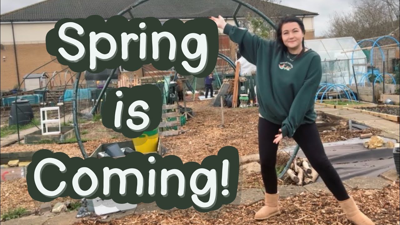 SPRING IS COMING!! Allotment paths, tidying and sowing | #allotmentplot 