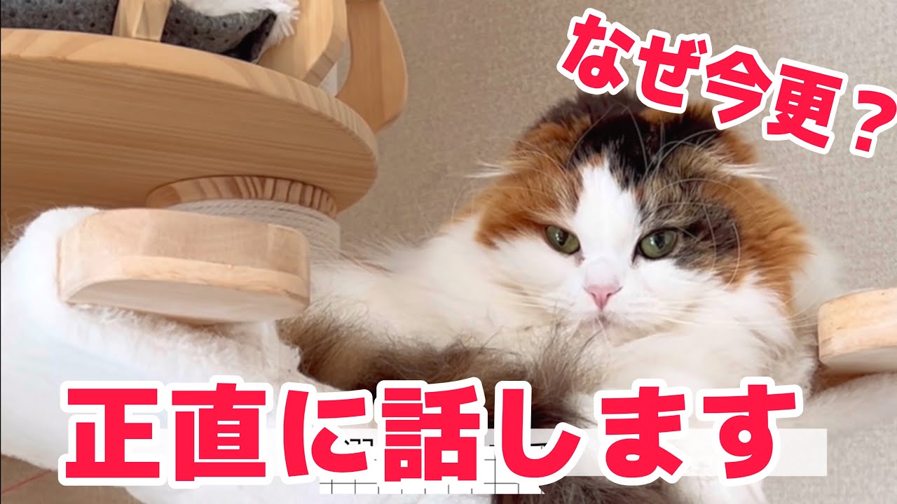 なぜ今更？正直に話します