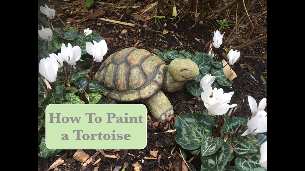How to Paint a Tortoise for Your Garden