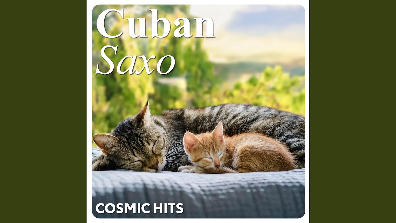 Havana Nights & Purring Jazz