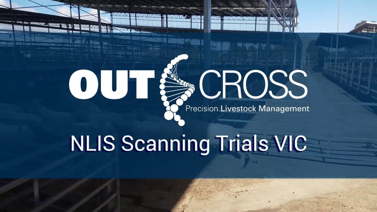 NLIS Scanning Trials - Victoria