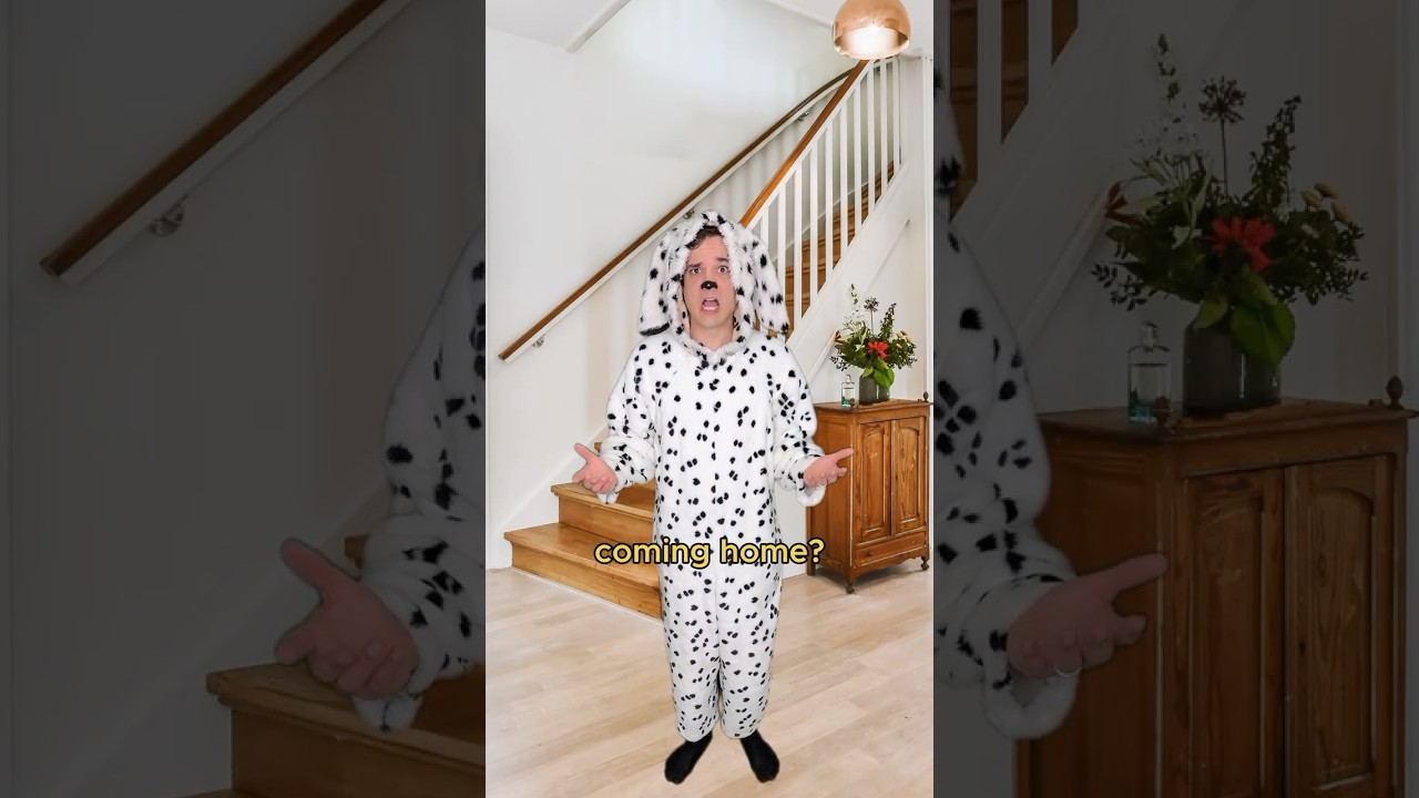 Dog gets left home alone #comedy #music #parody of Cats In The Cradle by Harry Chapin