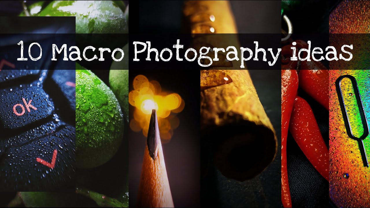 10 EASY MACRO PHOTOGRAPHY IDEAS at Home || Mobile Photography Ideas || Photography Hacks