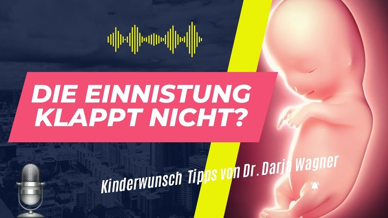 Einnistung unterstützen | Biologin erklärt versteckte Entzündungen in der Gebärmutter