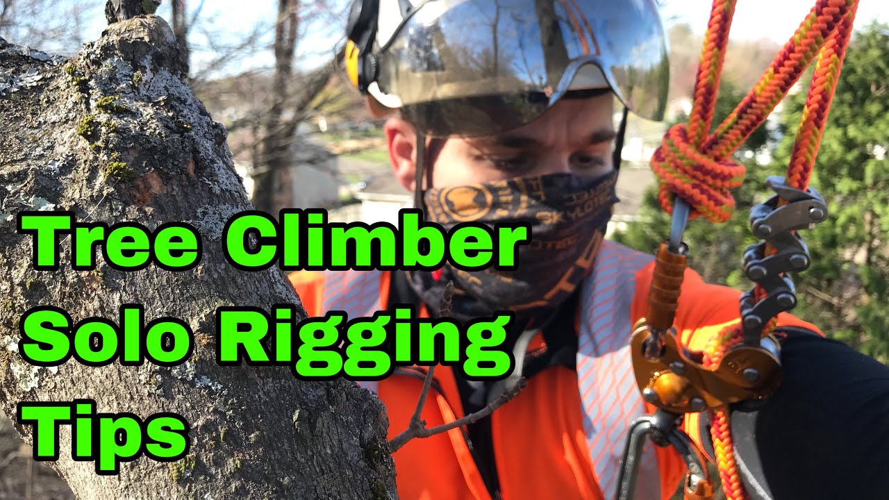 Solo Rigging Tips for Tree Work | Arborist Rigging Techniques