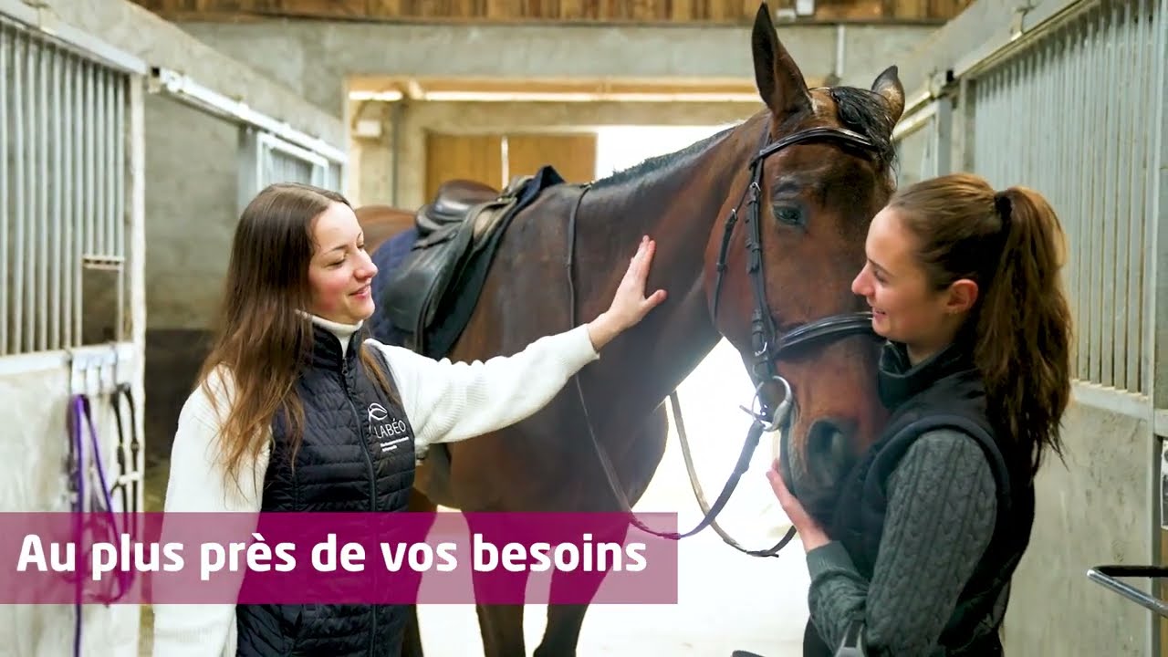LABÉO soutient la filière équine