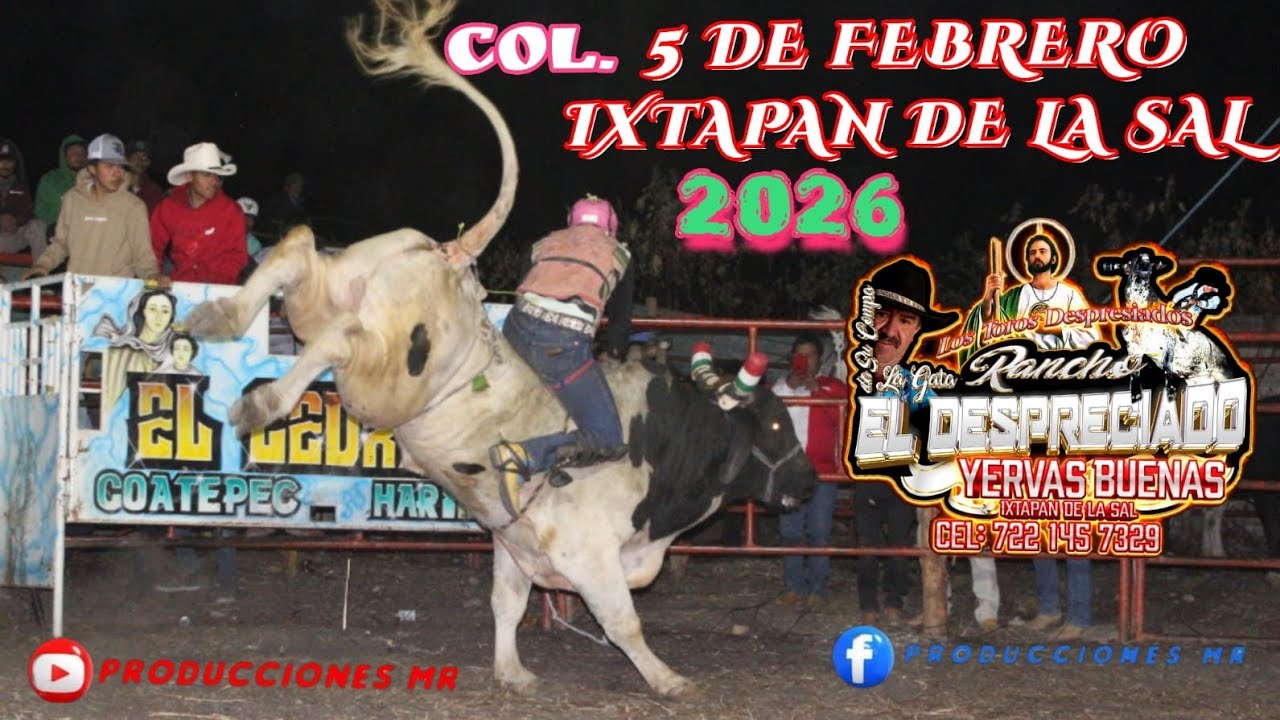 ‼️SON LOS TOROS DESPRECIADOS DEL COMPA LA GATA R . DESPRECIADO EN IXTAPAN DE LA SAL 07 FEBRERO 2026.