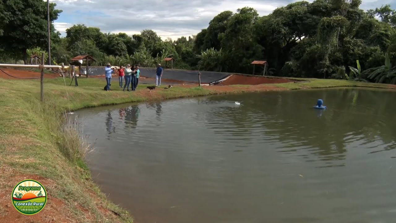 Fazenda Pingo de Ouro aposta em piscicultura e obtém bons resultados 