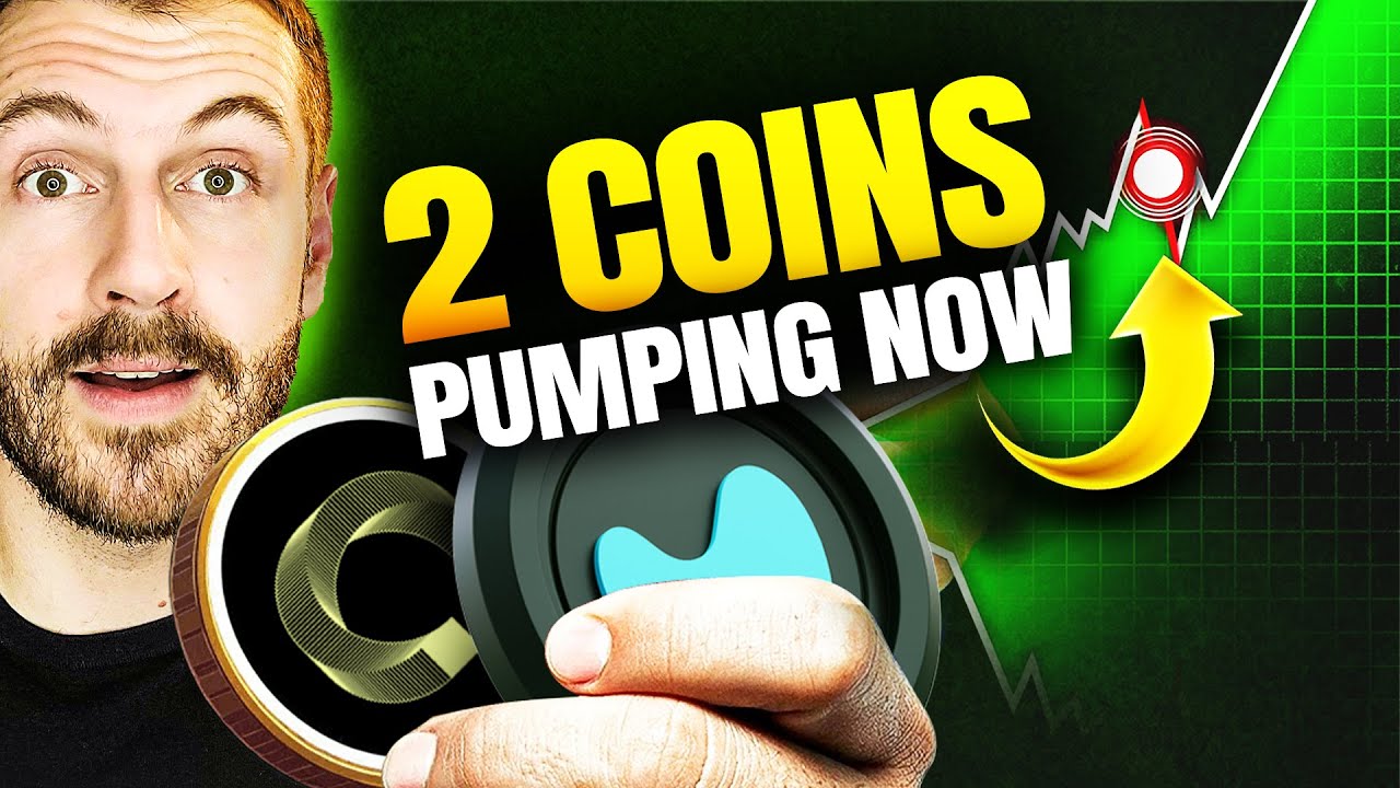 2 Coins Moving Against the Crypto Crash: Hyperliquid HYPE and Canton CC