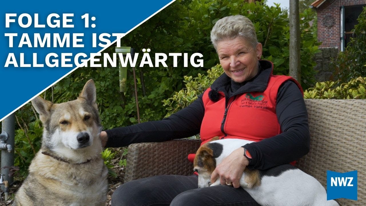 Neues von Carmen Hanken: Willkommen auf dem Hankenhof