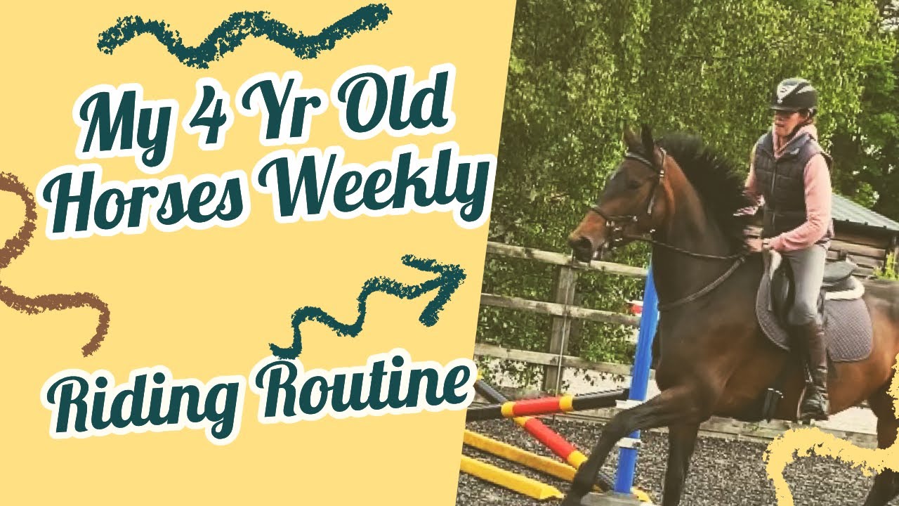 MY FOUR YEAR OLD HORSES WEEKLY TRAINING ROUTINE | Equestrian Vlog
