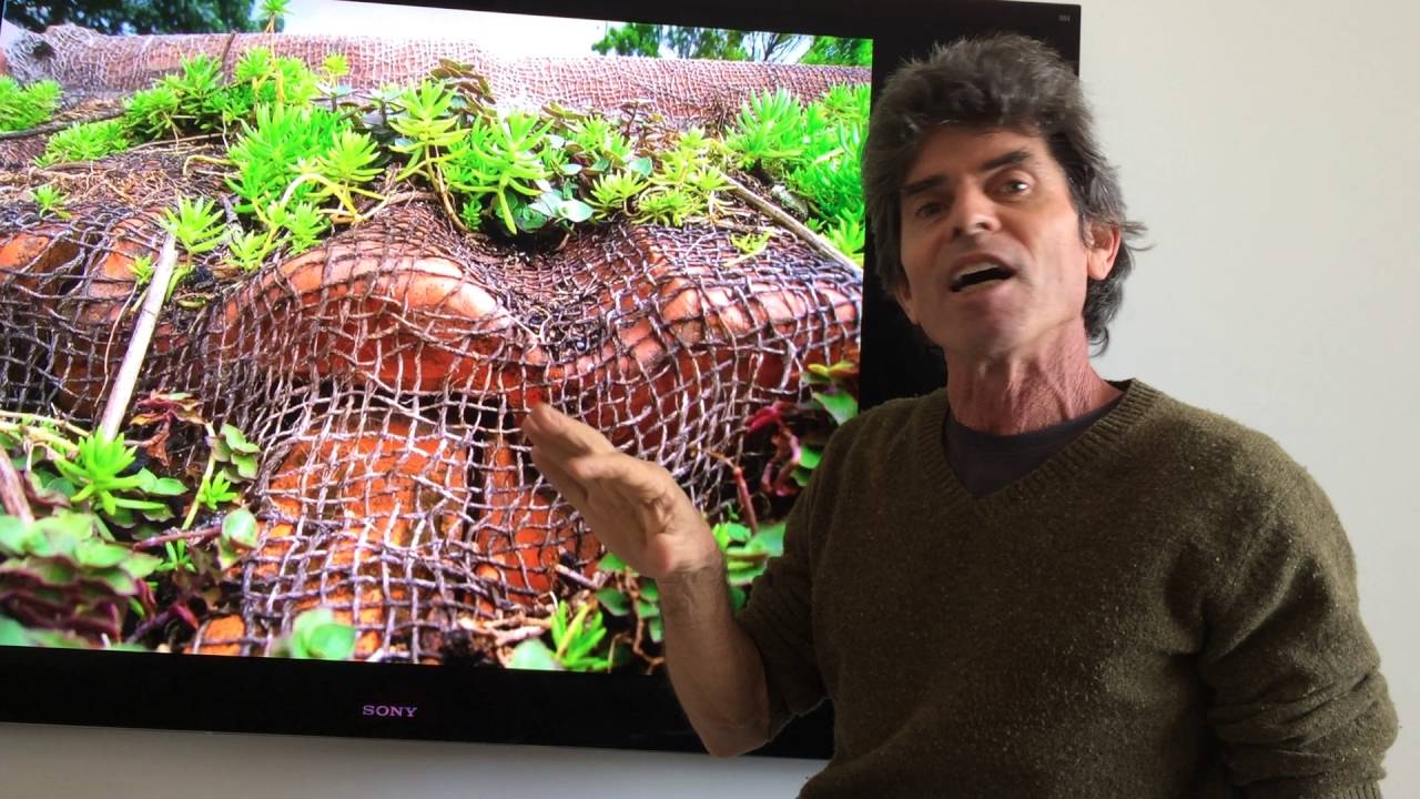 Telhado verde Peter Webb2