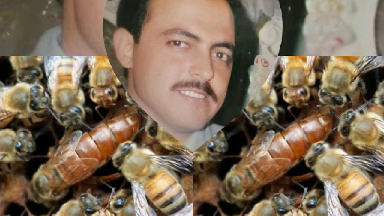 مهندس ابو انس النجار وتشجيع النحالين على السؤال حتى يصل النحال إلى المعلومات