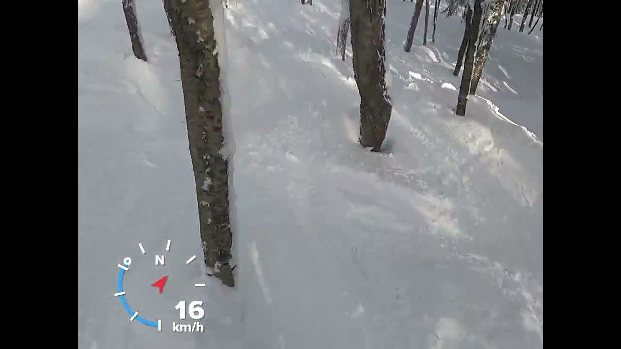 Mont Tremblant Christmas glades