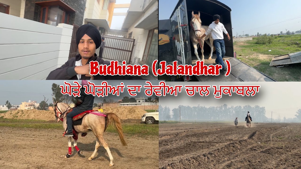 Budhiana (Jalandhar )  ਘੋੜੇ ਘੋੜੀਆਂ ਦਾ ਰੇਵੀਆ ਚਾਲ ਮੁਕਾਬਲਾ || PART -1 (🚀🚩 vlog )