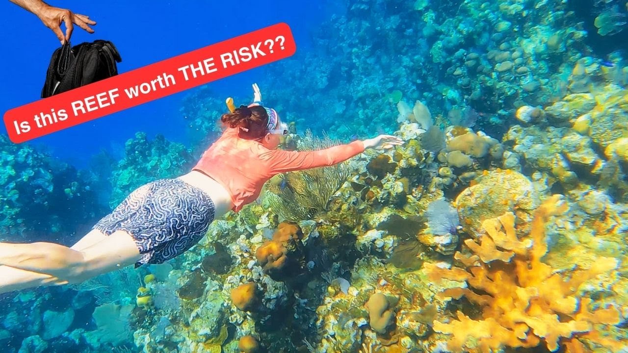 How to Snorkel the Barrier Reef in Roat&aacute;n, Honduras from a Cruise