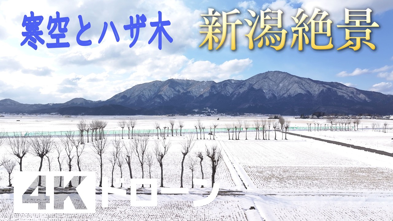 「そらなび」寒空とハザ木（新潟市西蒲区） 2026年2月7日放送回
