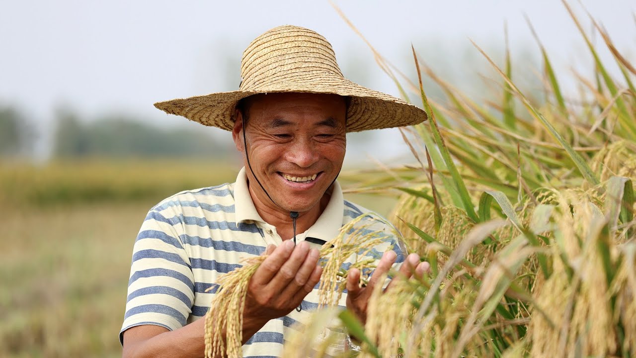 How China plants seeds of a food-secure future