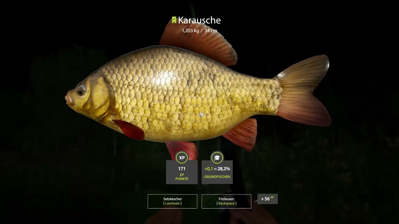 #33 RF4 Anfänger Kaulis und Co  [Russian Fishing] [RF4]  [Alte Festung]