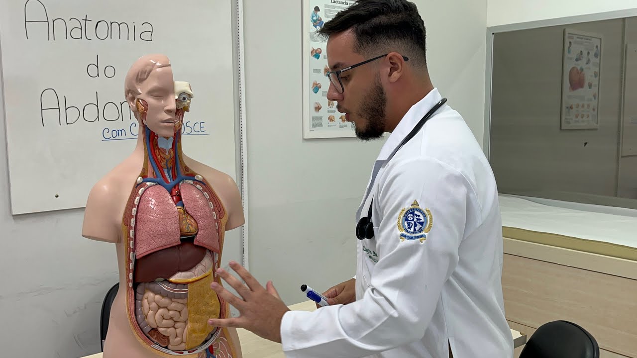 Exame físico do abdome - Preparação e Regiões do Abdome