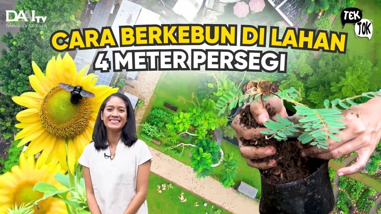Tek Tok | Cara Berkebun di Lahan Sempit Perkotaan