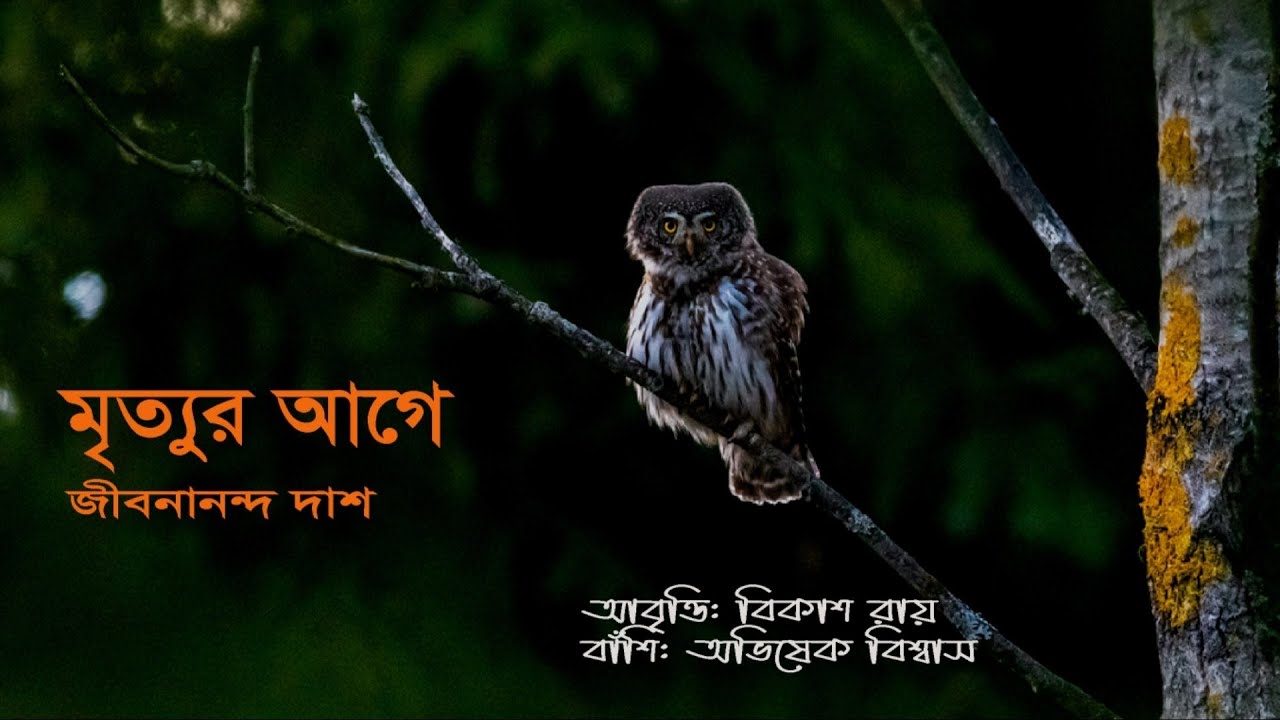মৃত্যুর আগে।। জীবনানন্দ দাশ।। mrityur age ।। jibanananda dash।। বাংলা কবিতা আবৃত্তি।।