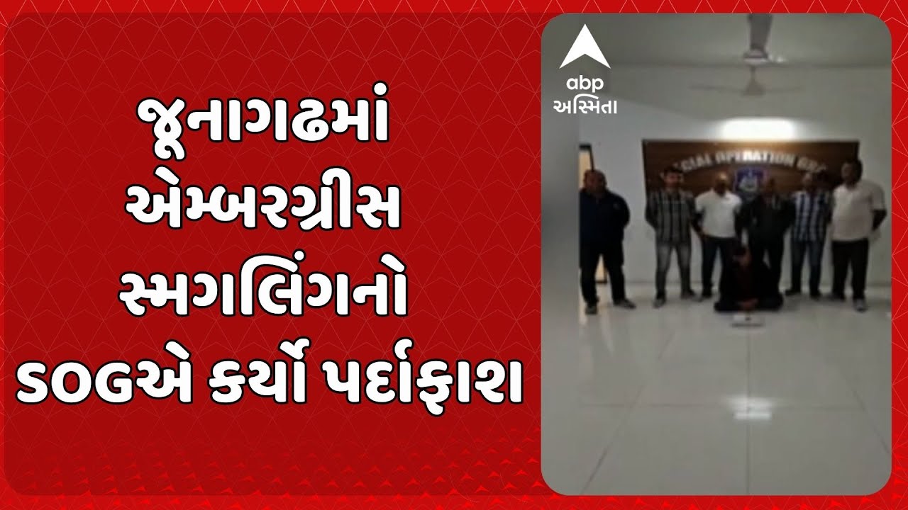 Junagadh News | જૂનાગઢમાં એમ્બરગ્રીસ સ્મગલિંગનો SOGએ કર્યો પર્દાફાશ