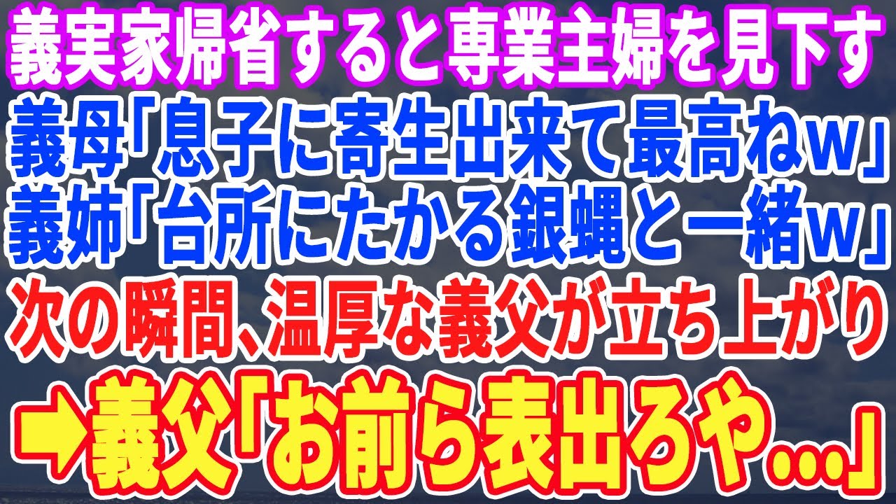 【スカッとする話】お盆に義実家へ帰省すると専業主婦の私を見下す義母「息子にたかる蝿ねw」義姉「どうせ1日中寝てるんでしょw」直後、無口な義父が立ち上がり→義父「蝿はお前らだ」