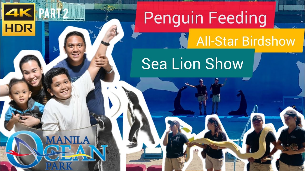 Sea Lion Show | Penguin Feeding | All-Star Birdshow | Manila Ocean Park 2025 | Part 2 | Holy Week