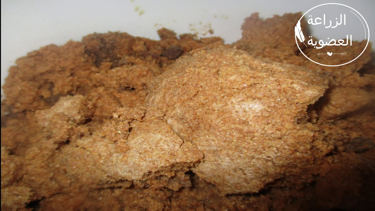 طريقة تحضير #بودرة_البوكاشي / الحلقة الثالثة من البوكاشي