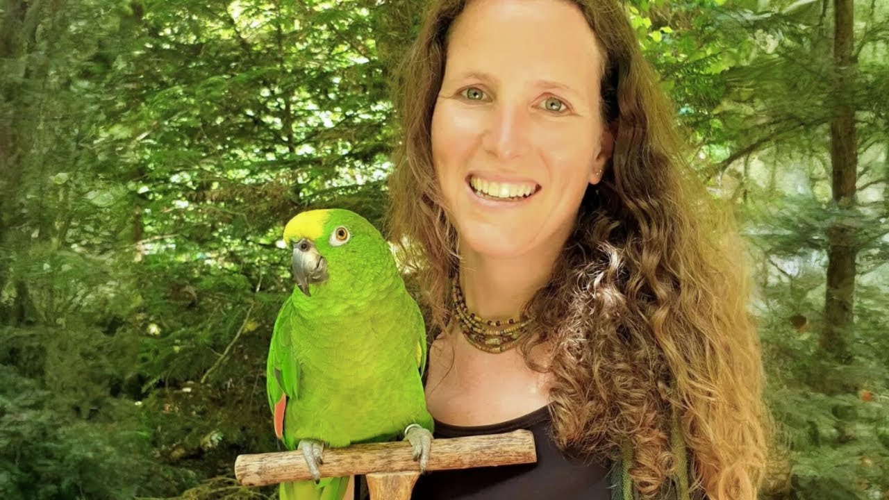 This Bird Spent 7 Years in a Cage… What Happened Next Will Melt You