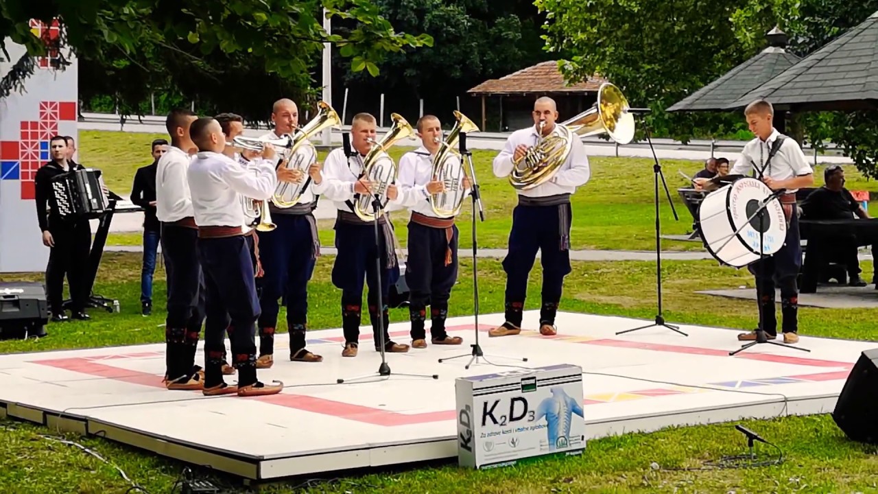 Orkestar Miroslava Djunisijevica Cuj Cuj seko