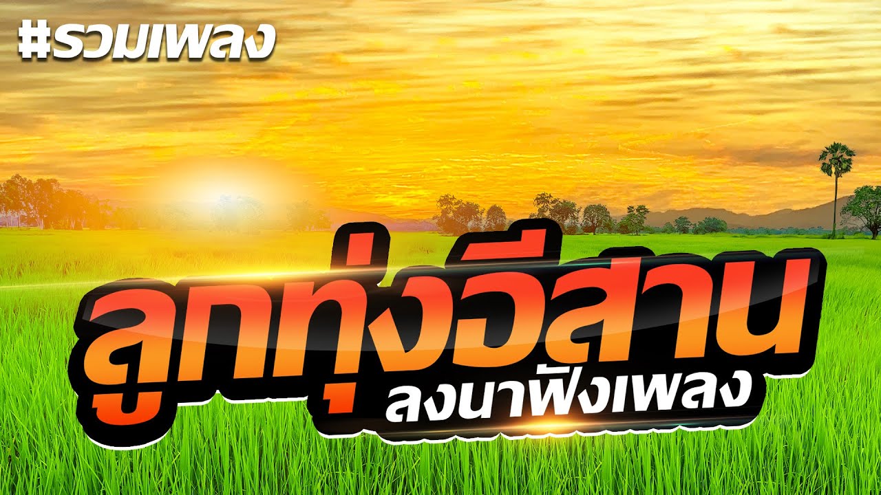 รวมเพลงลูกทุ่งอีสาน ลงนาฟังเพลง
