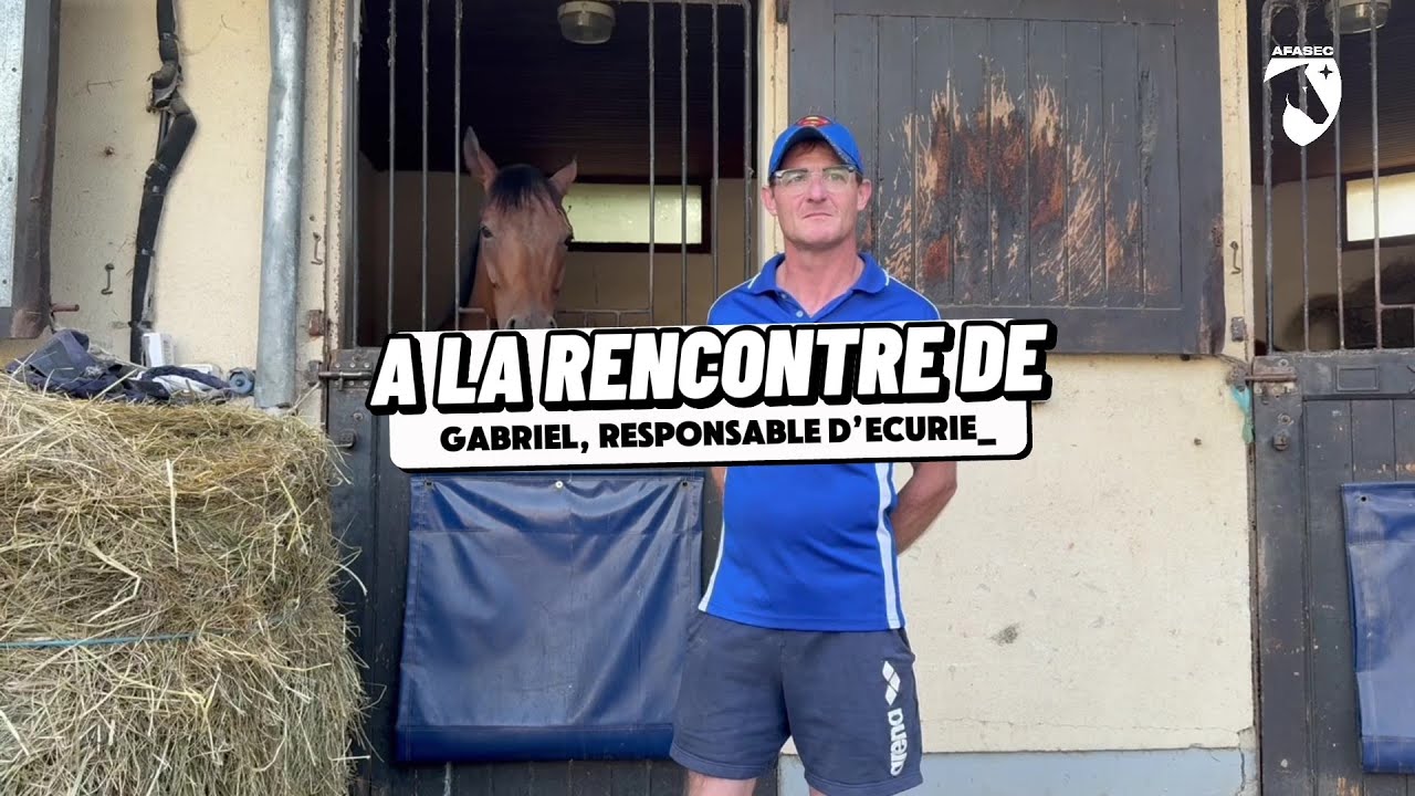 A la rencontre de Gabriel, responsable d'écurie