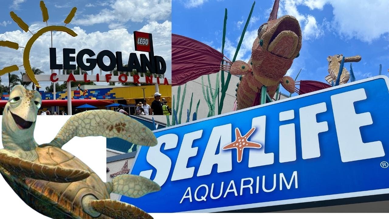 SEALIFE at LEGOLAND CALIFORNIA SUMMER 2022.  🐟🇺🇸 #LEGOLAND