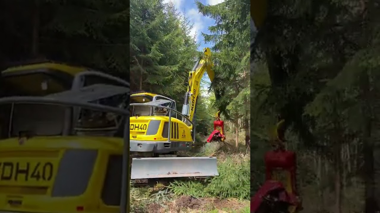 KDH 40 Durchforstung in Baden-Württemberg 🌲 Konrad Forsttechnik