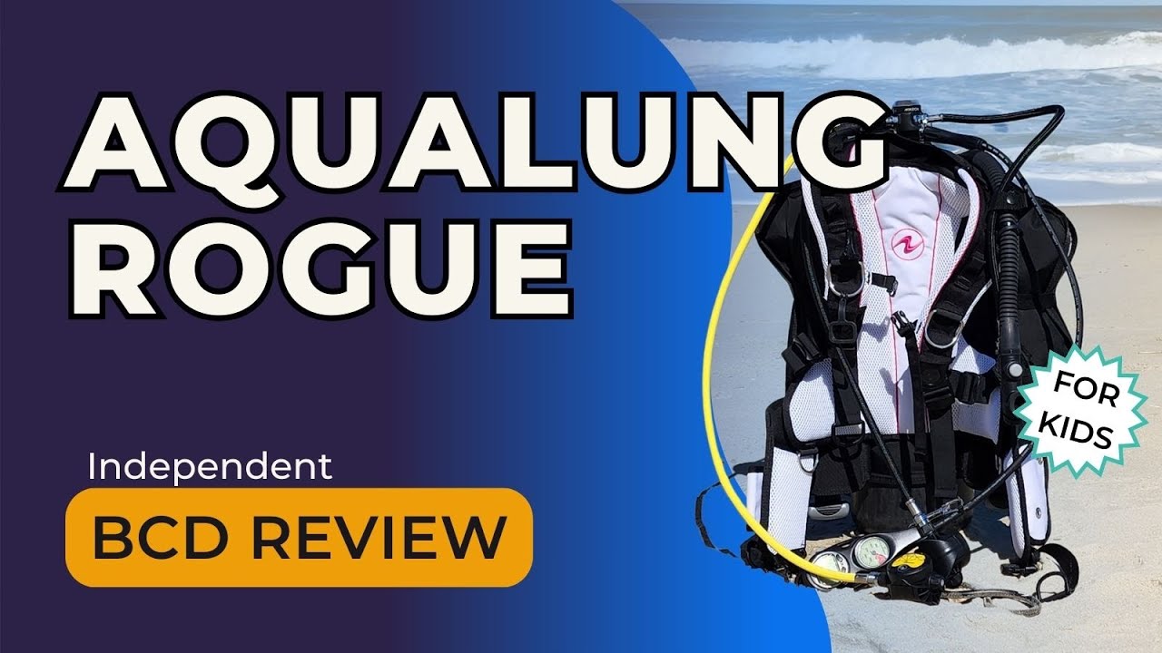 Aqualung Rogue BCD Review - For Kids