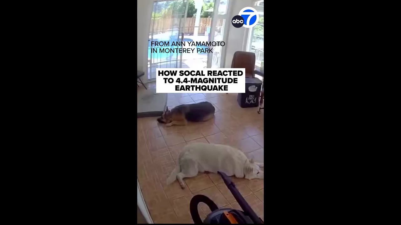 How SoCal reacted to 4.4-magnitude earthquake