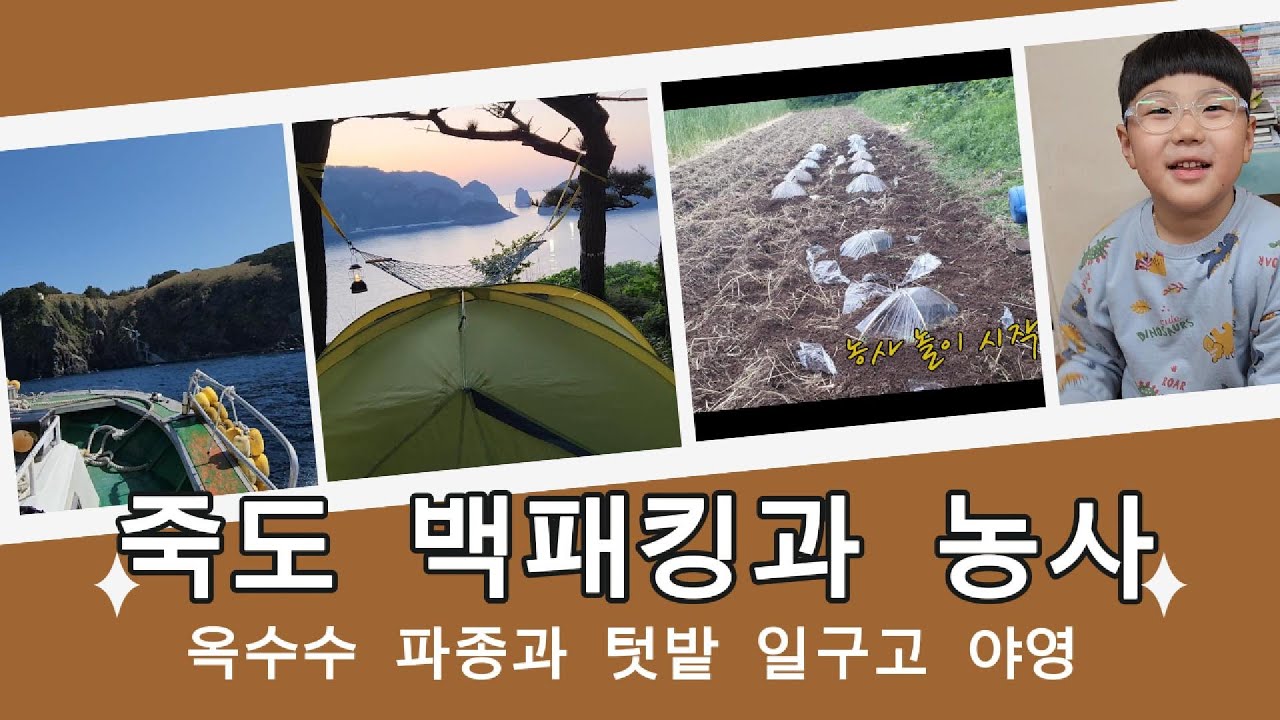 [울릉도구석구석]죽도주민 텃밭 일구기(김유곤 농부의 자급용 농사 일기)