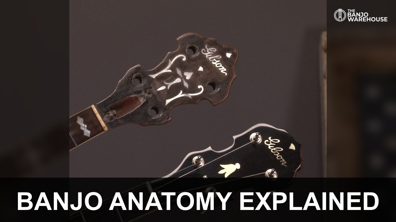 Parts of the banjo