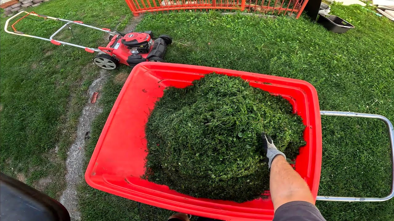POV Evening Lawn Rescue 🌙 | Mowing Before It Turns Into a Jungle!